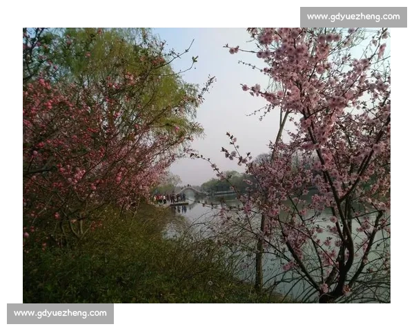 花开之日，赴你之约