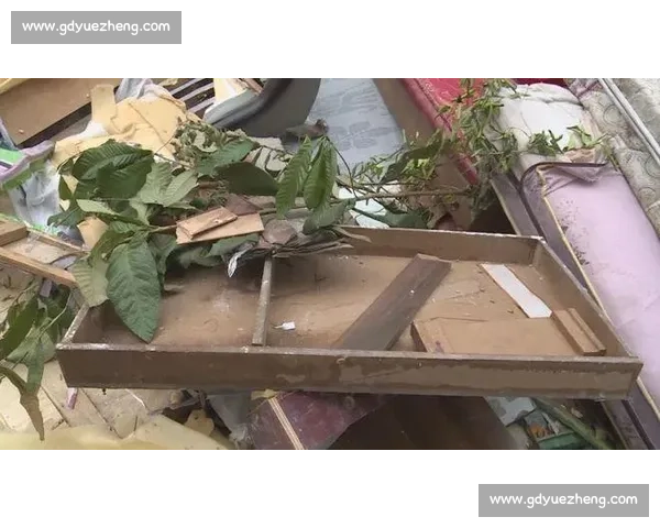 德阳赛场太 “可怕”！2 万人满座离场无垃圾