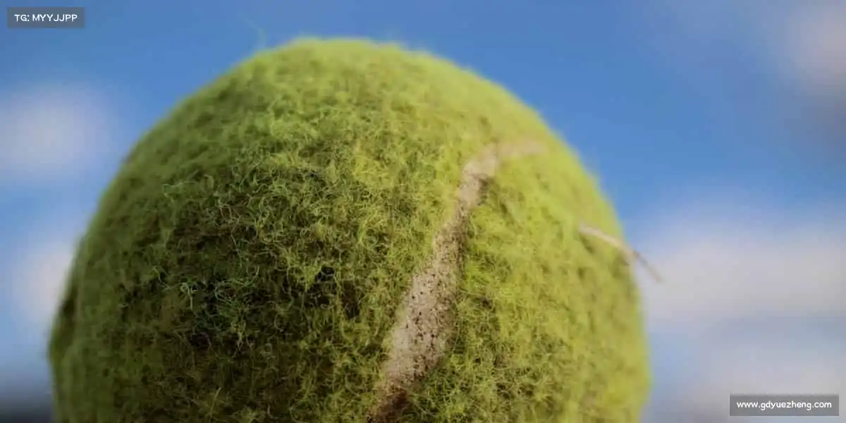 为什么选择我们